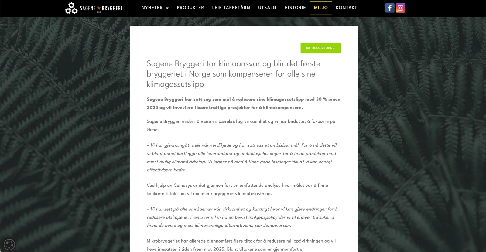 Miljøsiden med pressemeldingen om at Sagene Bryggeri blir det første bryggeriet i Norge som kompenserer for alle sine klimagassutslipp. Hvit tekstboks over et mørkt bakgrunnsbilde av bregner.